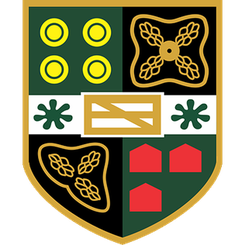 耶特城首发阵容