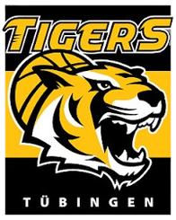 图寅根雷达虎首发阵容