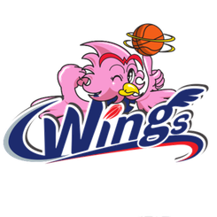 爱信飞翼女篮首发阵容