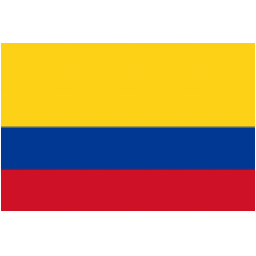 哥伦比亚U17首发阵容