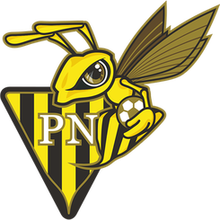 尼德康首发阵容