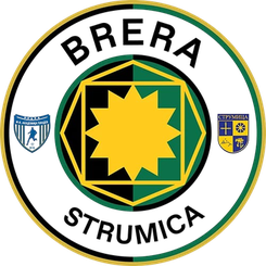 潘多夫学院首发阵容